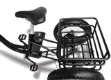 T4B 500W Trike 3-Wheel Cargo Fat Tire Electric Bike - EB-CARRIAGE