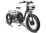T4B 500W Trike 3-Wheel Cargo Fat Tire Electric Bike - EB-CARRIAGE