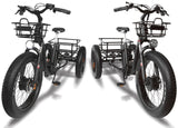 T4B 500W Trike 3-Wheel Cargo Fat Tire Electric Bike - EB-CARRIAGE