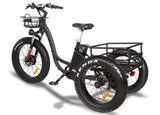 T4B 500W Trike 3-Wheel Cargo Fat Tire Electric Bike - EB-CARRIAGE