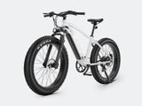 iDeal Velowave Ranger Fat Tire Electric Bike - VWFMTB3BG4-old1