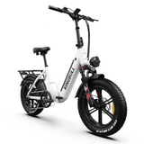 Kingbull Literider | All Terrain Folding Electric Fat Bike - KLR-BLACK
