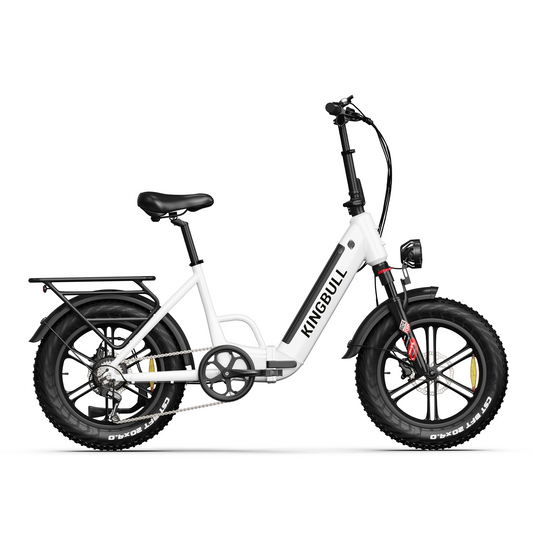 Kingbull Literider | All Terrain Folding Electric Fat Bike - KLR-BLACK