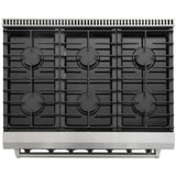 Thor Kitchen 36 in. 6.0 Cu. Ft Professional Natural Gas Range in Stainless Steel - LRG3601U