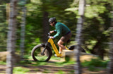 Velotric Nomad 1 Plus Ebike - VD030002E