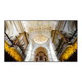 Samsung  43" Edge-Lit 4K UHD LED Display for Business - QM43N
