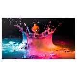 Samsung  UD-E Series 55" Direct-Lit LED Display - UD55ES
