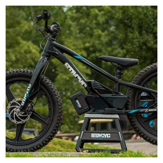 Stacyc 20" eDrive Rigid Kids Electric Bike - 100033
