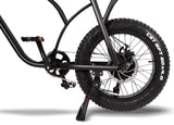 T4B 500W SuperFun Fat Tire Electric Bike - EB-500WSPRFUN