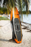 Yujet Surfer Jetboard - YUJETCARBONCOMPLETE